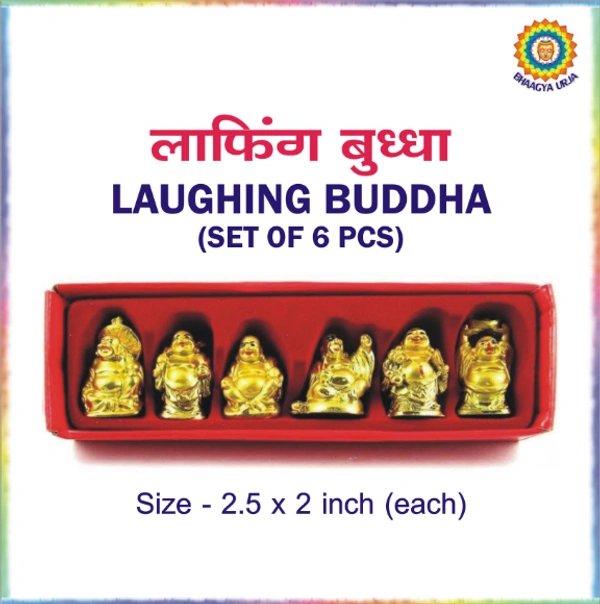 Laughing buddha ( pack of 6pcs)